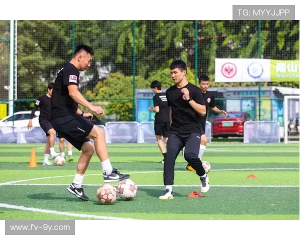 聚焦河南南阳足球教练培训体系建设与专业人才培养路径探索新思路